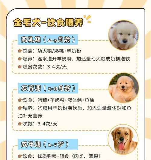 文章详情图片
