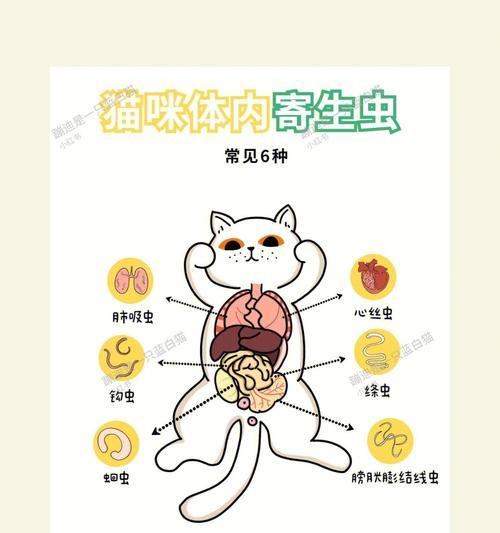 文章详情图片