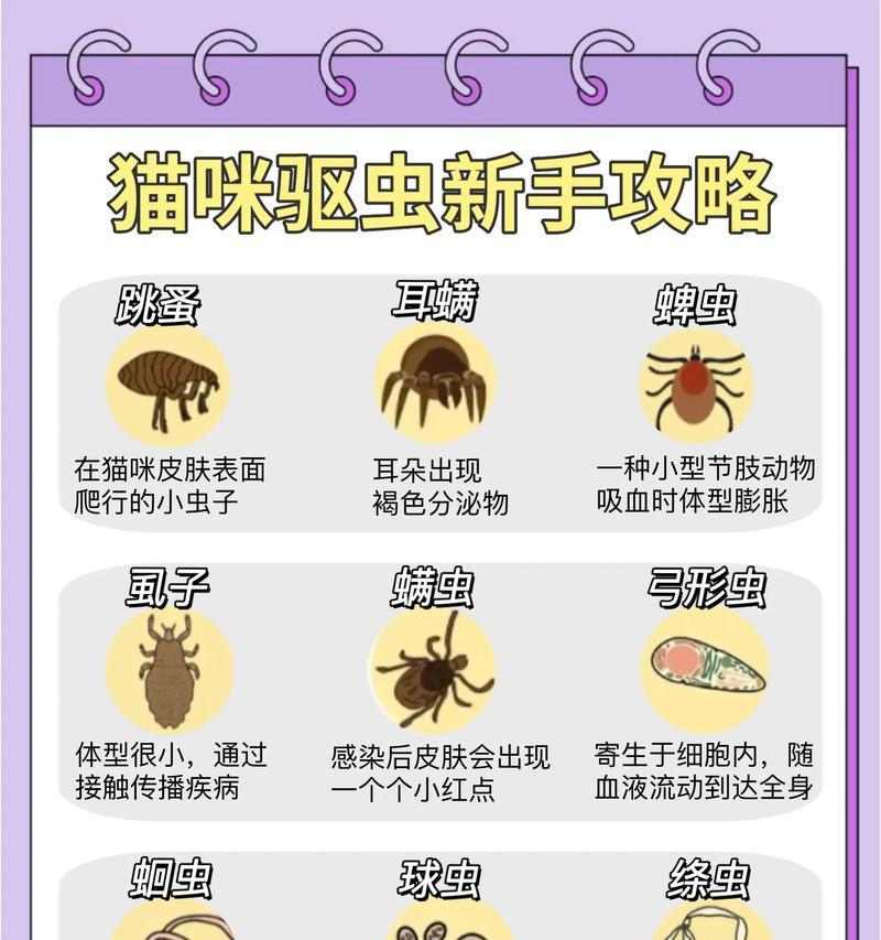 文章详情图片