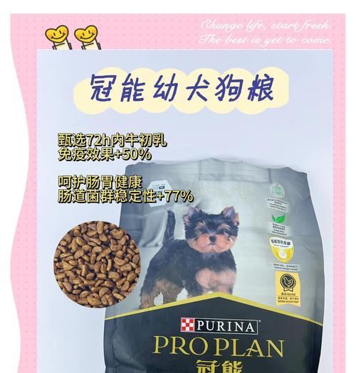 金毛吃狗粮长得快不快？（探究金毛犬只是否需特殊饮食及狗粮是否有助于其成长）
