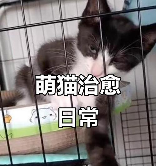 文章详情图片