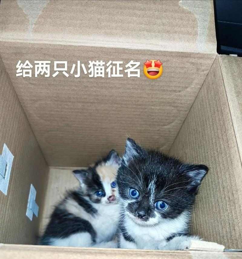 文章详情图片