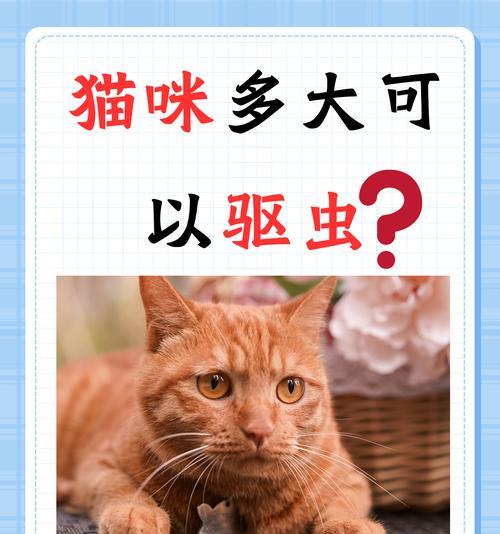 如何自己给宠物猫咪做驱虫（以铲屎官为主，轻松做好猫咪的驱虫工作）