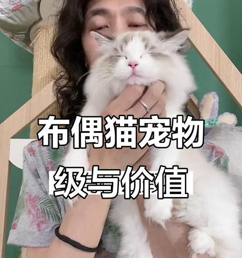 文章详情图片