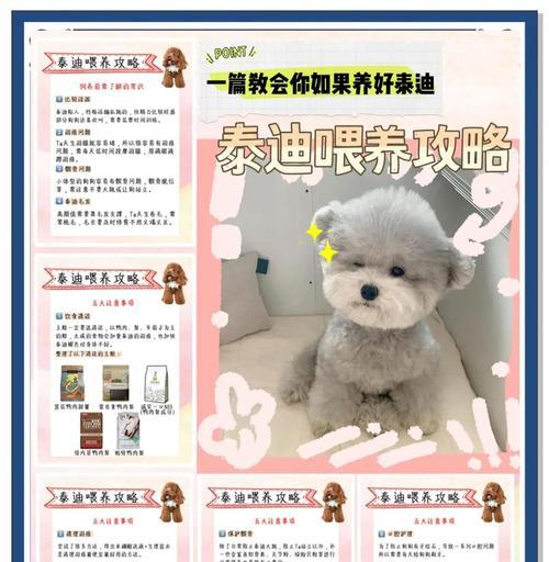 文章详情图片