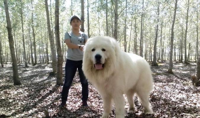 文章详情图片