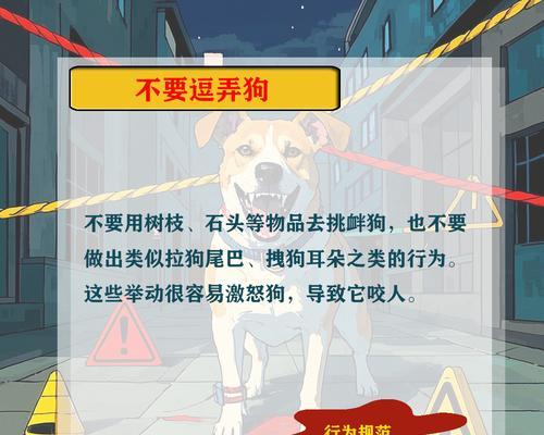 文章详情图片