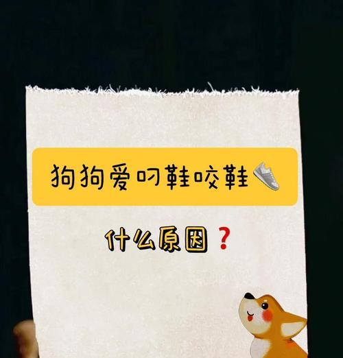 文章详情图片