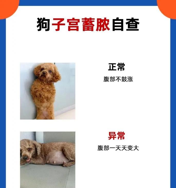 文章详情图片