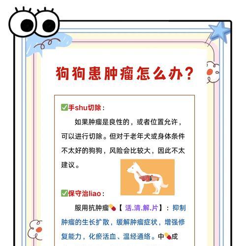 文章详情图片