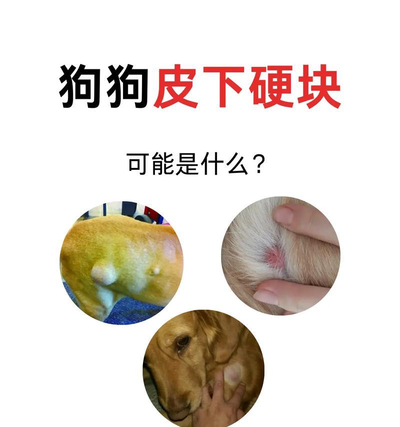 文章详情图片