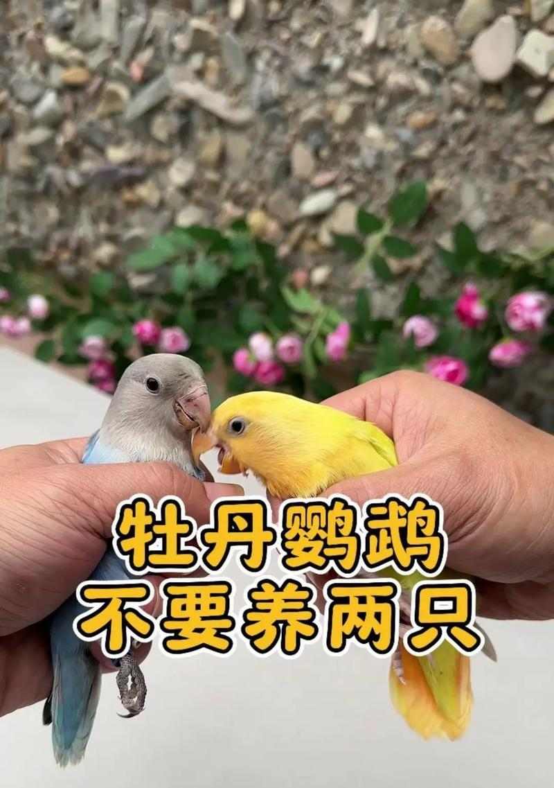 文章详情图片