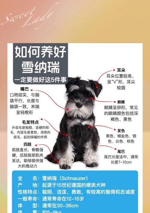 文章详情图片
