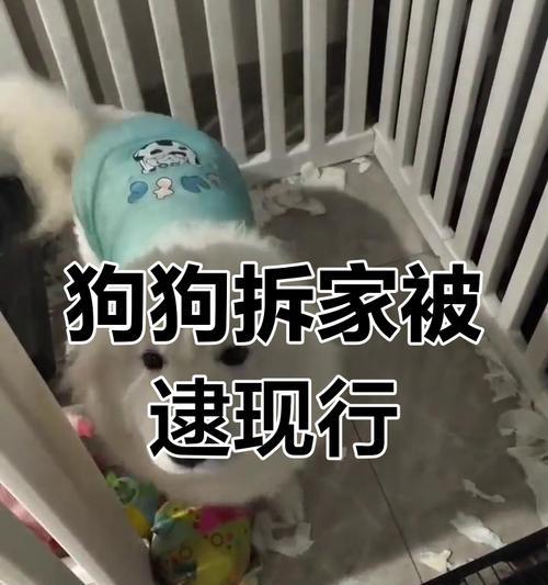 文章详情图片