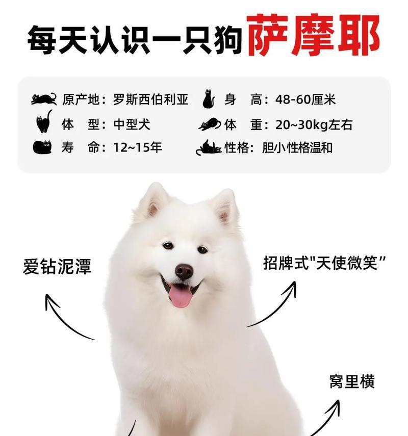 文章详情图片