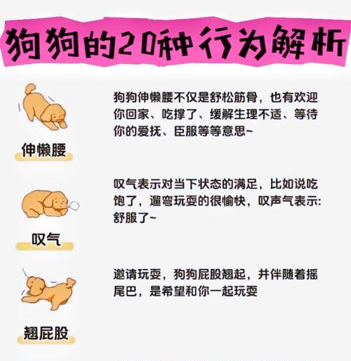 文章详情图片