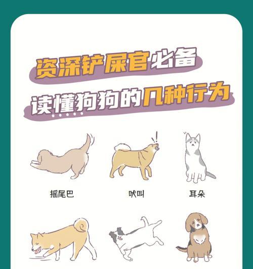 揭秘狗狗的心声（通过狗语和肢体动作，与狗狗建立深度沟通）