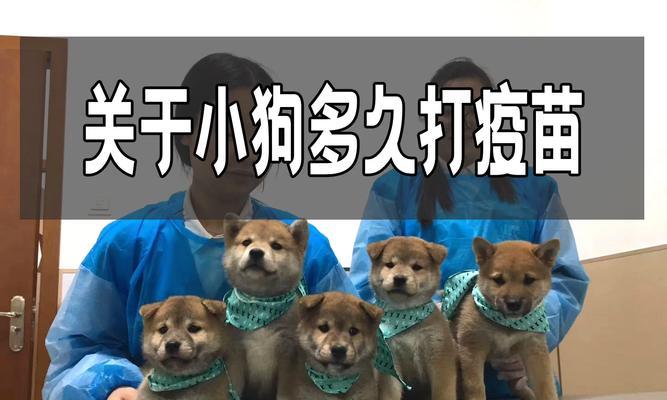 文章详情图片