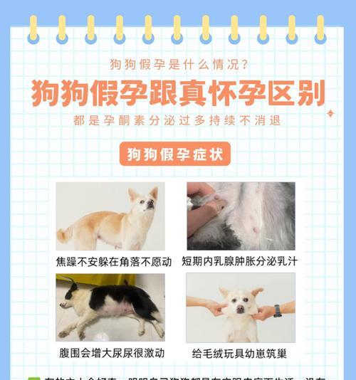 文章详情图片