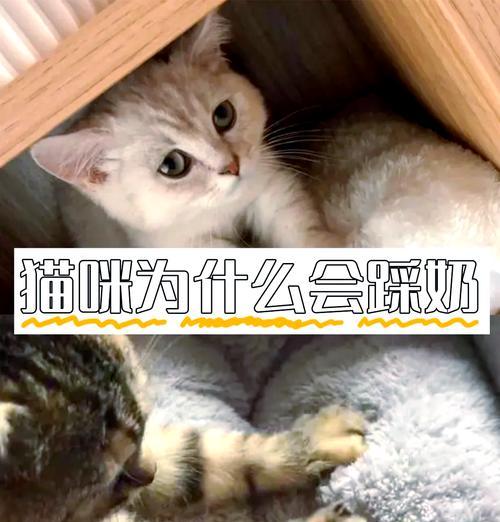 文章详情图片