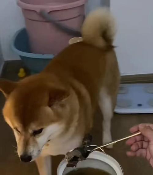 文章详情图片