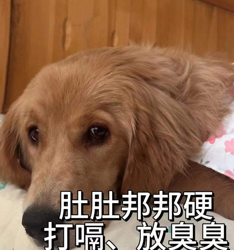 文章详情图片