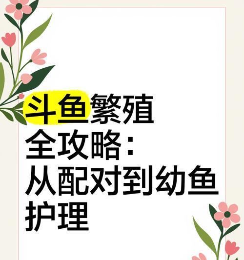 文章详情图片