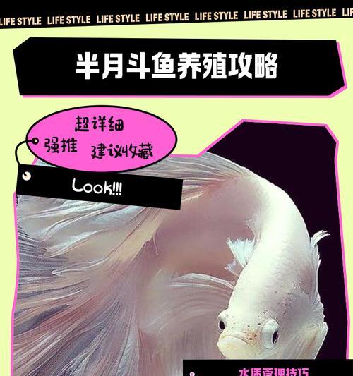 文章详情图片