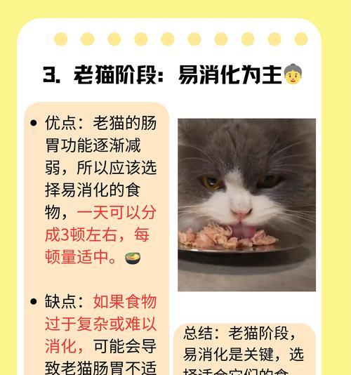文章详情图片