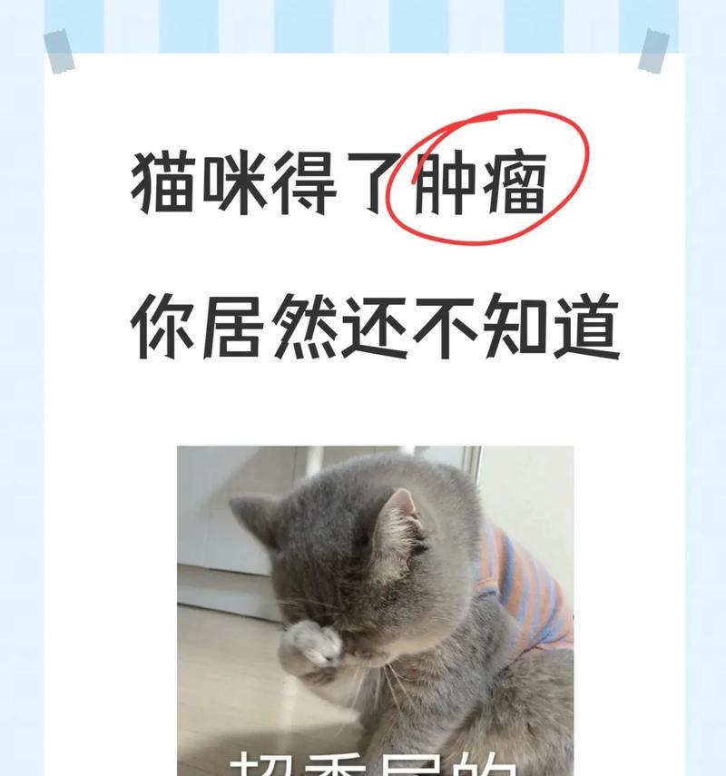 文章详情图片