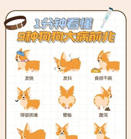 文章详情图片