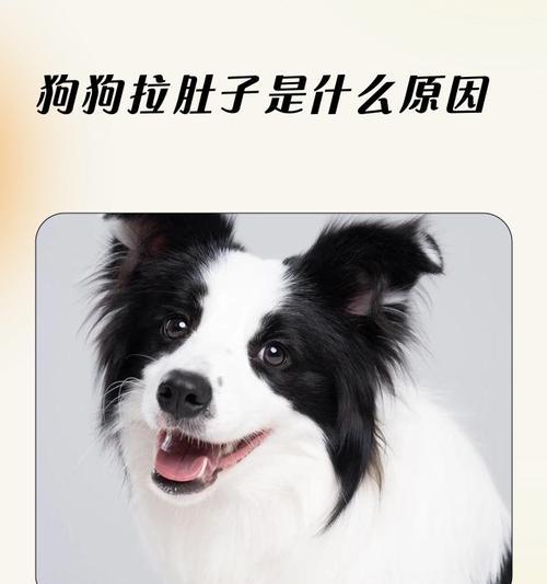 文章详情图片