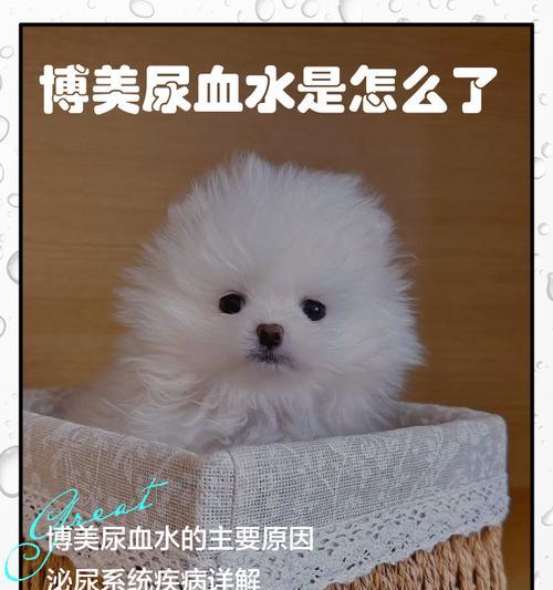 文章详情图片