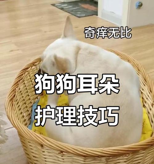 文章详情图片