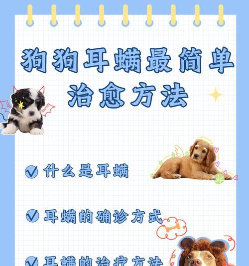 文章详情图片