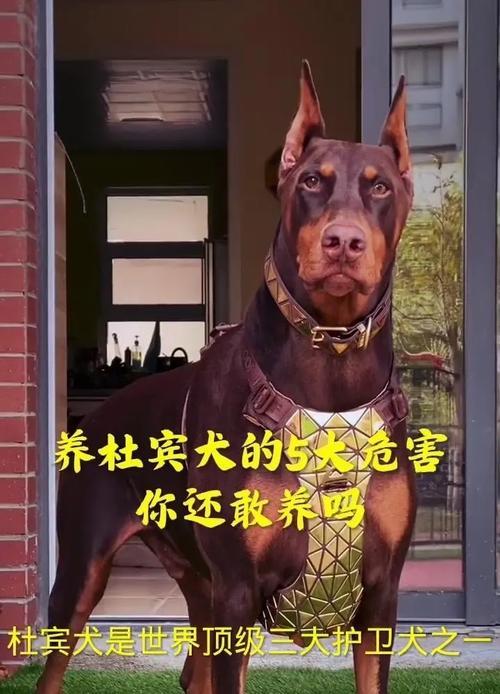 文章详情图片