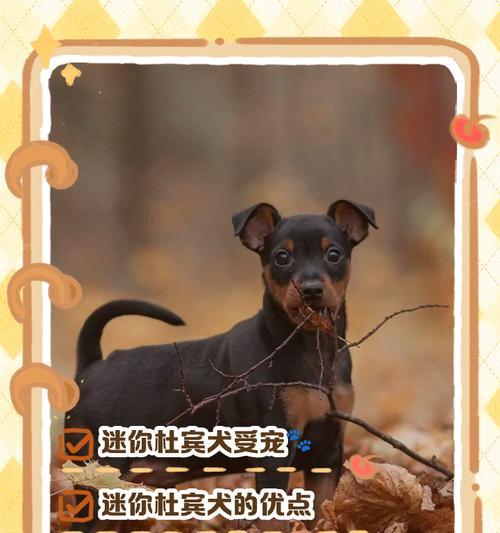 文章详情图片