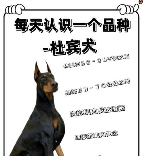文章详情图片