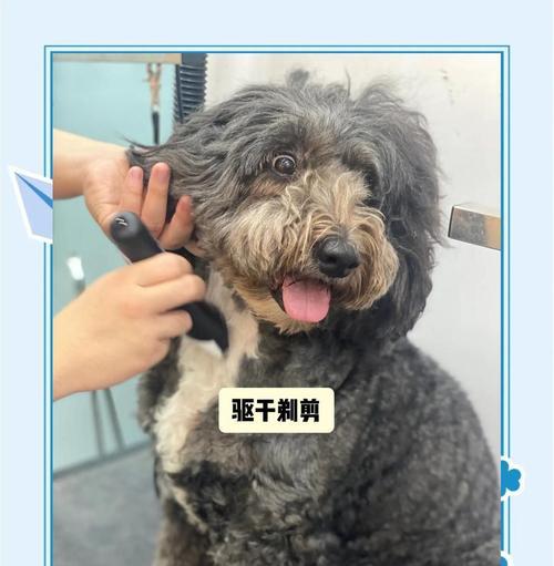 文章详情图片