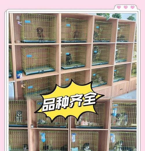 文章详情图片