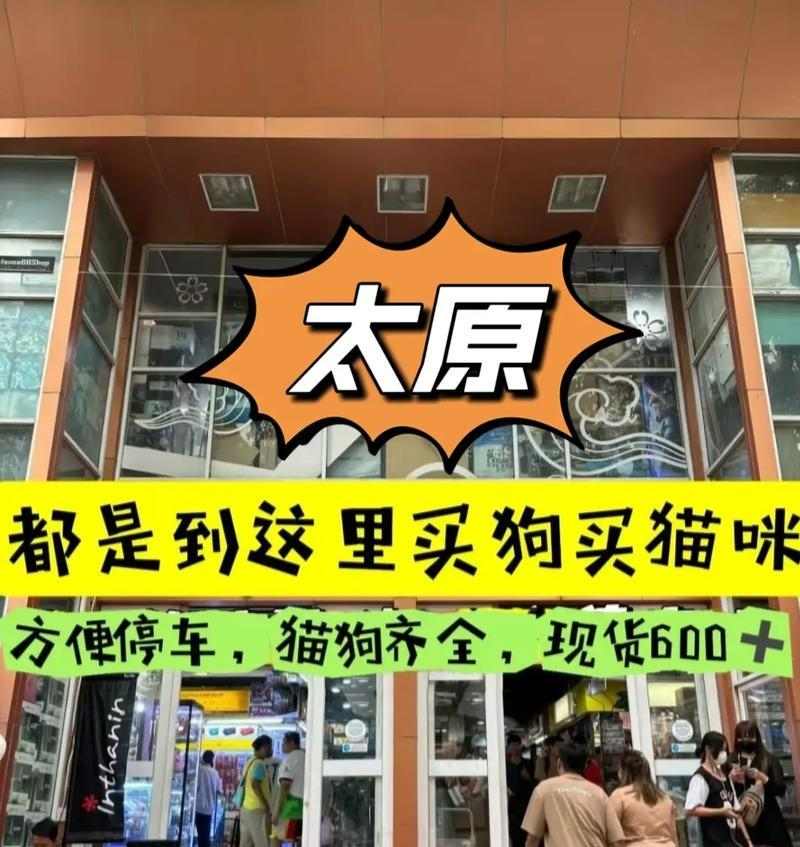 文章详情图片