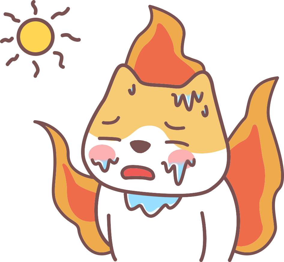 猫咪怕热吗