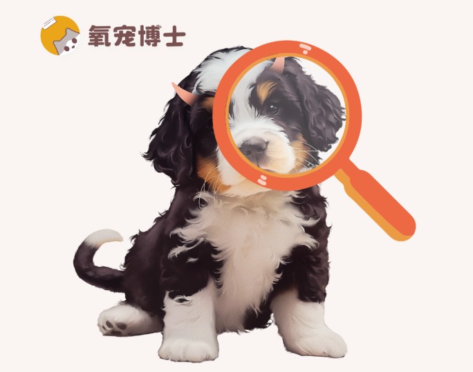 如何自查刚到家的小狗是否健康？