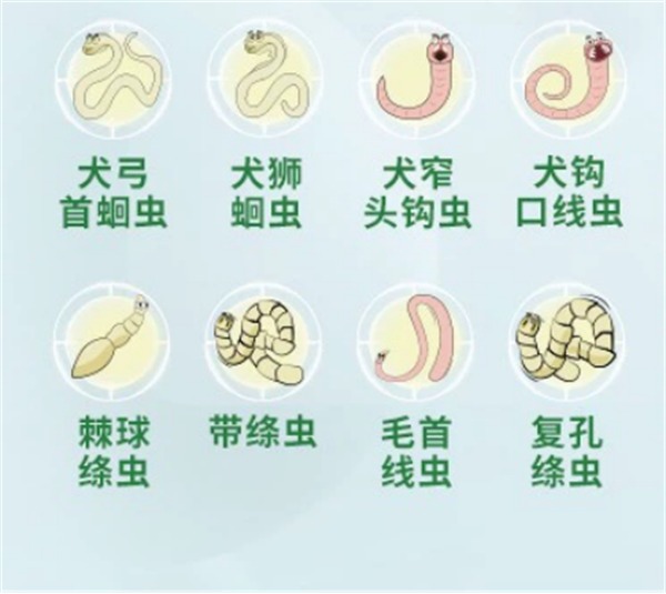 狗狗体内驱虫药测评