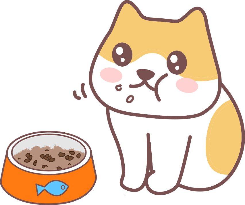 猫咪的脂肪摄入量