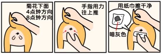 怎么给猫咪挤肛门腺