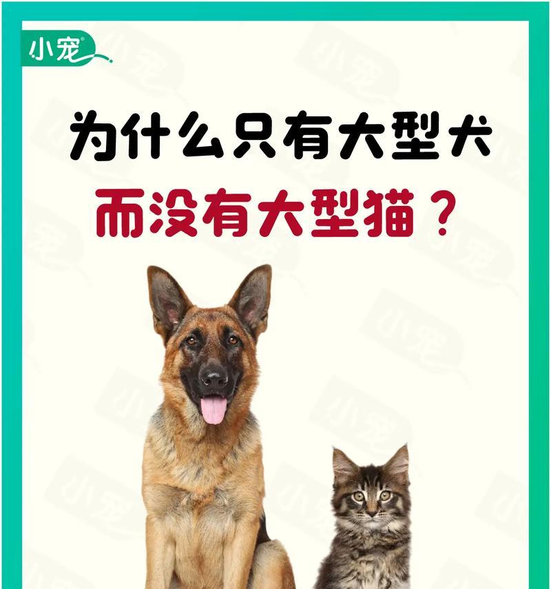文章详情图片