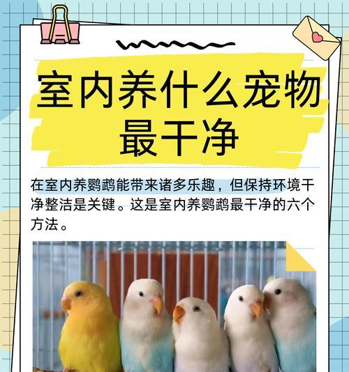 文章详情图片