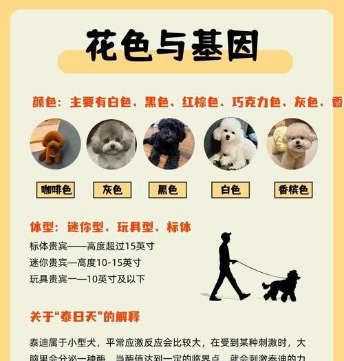 文章详情图片