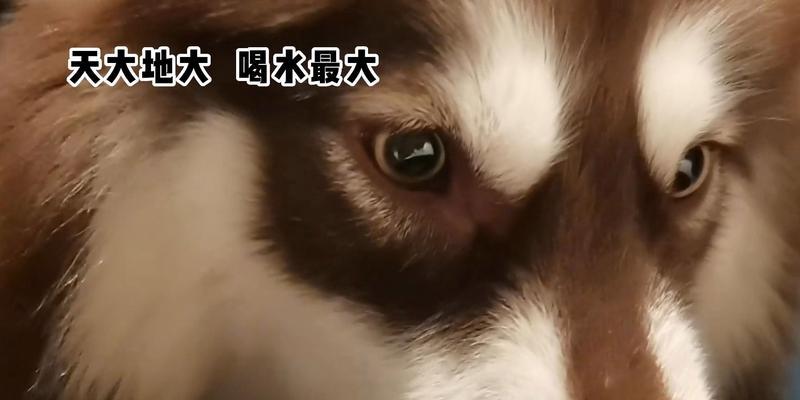 文章详情图片